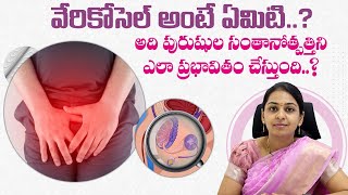 వేరికోసెల్ అంటే ఏమిటి  Avni Fertility AndrologyBest Fertility Center Hyderabad [upl. by Polito]