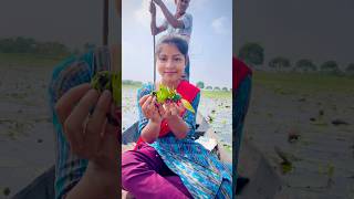 শাপলার ফল দিয়ে কি করবো🤔video minivlog shortvideo viralvideo village hardwork [upl. by Dorelia532]