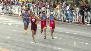 2015 ITU World Triathlon Chicago  Elite Mens Highlights [upl. by Aelgna375]