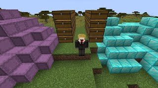 How To Find Minecraft Java 1192 Multiplayer Dupe Glitches [upl. by Edge]