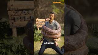 How A Snake Could Choke A Human 😱shorts [upl. by Emia]