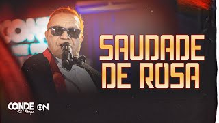 SAUDADE DE ROSA DVD Livre Pra Voar [upl. by Behlke929]