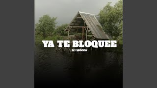 Ya Te Bloquee Remix [upl. by Dorr67]