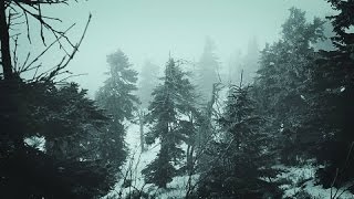 Snowstorm Blizzard Wind Sounds For Sleeping Relaxing  Calm Snow Arctic Howling Winter Ambience [upl. by Eciruam]