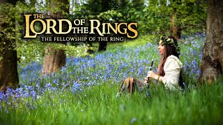 The Lord Of The Rings  Concerning Hobbits Shire theme beautiful middle earth music [upl. by Hance]