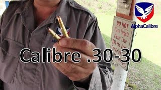 Calibre 3030 Winchester [upl. by Seda]