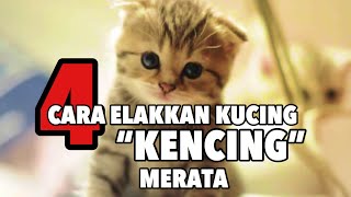 Tips Nak Elakkan Kucing Kencing Merata [upl. by Pruter]