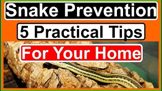 Keep Snakes Out 5 EASY Ways to Prevent Snakes in Your Home amp Yard [upl. by Llydnek723]