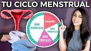 Conoce tu CICLO MENSTRUAL y días fértiles l Dra Pau Zúñiga 👩🏻‍⚕️ [upl. by Yrocej]