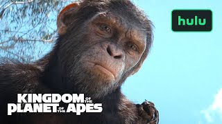 Kingdom of The Planet Of The Apes  Official Trailer  Hulu [upl. by Christi35]