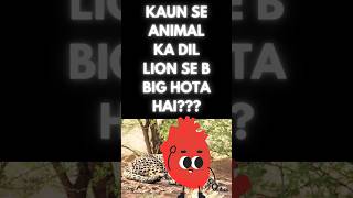 KAUN SA ANIMAL EK BAAR SHIKAR NHI KR SAKE TO PHIR USKO NHI PAKDTEytshorts facts cheetah lion [upl. by Imuya]