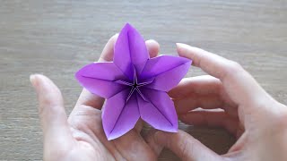 Easy Origami Flower  Cherry Blossom [upl. by Llerrac]