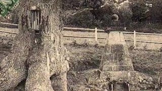 Calvados insolite  la fontaine SaintMéen [upl. by Macdermot432]