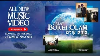 Dovid Gabay  Borei Olam Official Music Video [upl. by Aicilak]