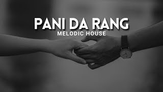 Pani Da Rang  Remix  Melodic House  Debb [upl. by Quitt]