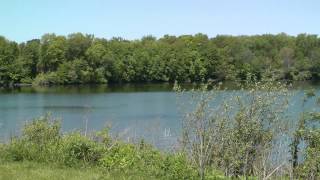 Great Fishing at Briggs Woods County Park Hamilton County Iowa Catfish Bass Crappie [upl. by Ferdie678]