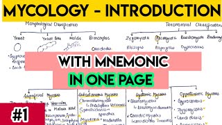 Mycology introduction  Fungi introduction with trick  fungi classification [upl. by Nerret]