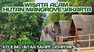 KONDISI TERBARU TAMAN WISATA ALAM HUTAN MANGROVE JAKARTA  JUNI 2021 [upl. by Anibur]