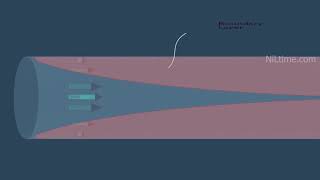 Fluid Boundary layer and velocity profile animation Fluid Mechanics [upl. by Arella]