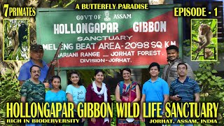 HOLLONGAPAR GIBBON WILD LIFE SANCTUARY EPISODE1 HOOLOCK GIBBON  PRIMATES  Northeastvloggers [upl. by Lazaro]