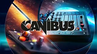 CANIBUS  BLEND 137 [upl. by Ahgiela]