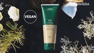 Sap Moss Hydrating Shampoo amp Conditioner  Aveda [upl. by Cormac]