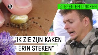 JURRE WORDT GEBETEN DOOR EEN SPIN  Steken en Prikken 9  NPO Zapp [upl. by Eilegna]