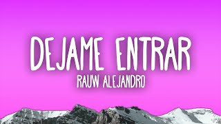 Rauw Alejandro  Dejame Entrar [upl. by Radford923]