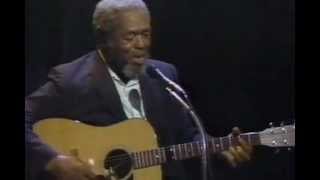 Brownie McGhee  1988 live [upl. by Idoux]