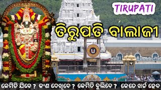 Tirupati Balaji Temple Darshan  Tirumala Tirupati Balaji Tour Guide amp Budget Trip Plan [upl. by Englis]