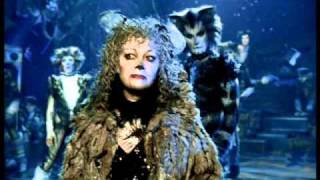 Grizabella The Glamour Cat  Elaine Paige HD from Cats the Musical  the film [upl. by Annasiul501]