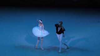 150918 Andrea Lassakova debut in Swan Lake Act I Entree of Odette [upl. by Bodnar845]