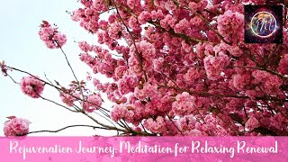 Rejuvenation Journey Meditation for Relaxing Renewal [upl. by Held]