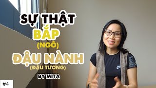 3 NGUY CƠ UNG THƯ  BẮP amp ĐẬU NÀNH [upl. by Aicilyt786]