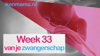 33 weken zwanger  ikenmamanl [upl. by Ollecram983]