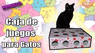 ♥ Tutorial Caja de juegos para Gatos ♥ [upl. by Stannfield622]