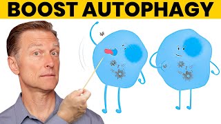 The 7 Powerful Ways to Increase Autophagy [upl. by Demodena]