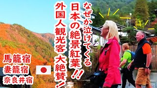 【リアルな海外の反応】びっくり！ほぼ全員 外国人観光客！馬籠（まごめ） 妻籠（つまご） 奈良井（ならい） 素晴らしい紅葉と懐かしい日本の原風景 [upl. by Monarski]