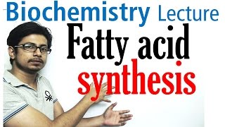 Fatty acid synthesis [upl. by Kenaz]