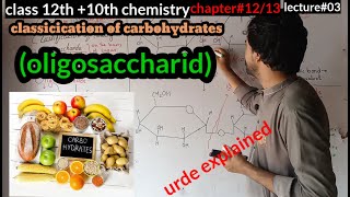 oligosaccharide class 10 oligosaccharide class 12 by samad lec03 [upl. by Chong]