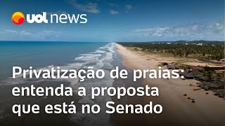 Privatização de praias entenda o que muda com proposta que está no Senado [upl. by Leilani]