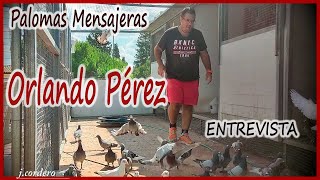 PALOMAS MENSAJERASORLANDO PÉREZ 2023 [upl. by Euqinahc]