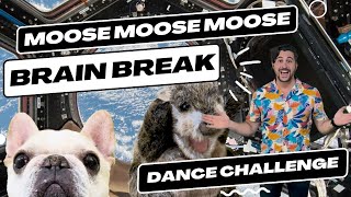 quotMOOSE MOOSE MOOSEquot  Kids Dance Challenge  Brain Break  Super Sing Along Time  Kids Music [upl. by Acker]