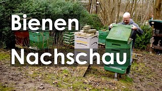 Bienen drehen durch Erste BienenNachschau und Pollenflug so früh wie selten [upl. by Marie-Ann326]