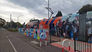 Trams on Adelaides only line From Mosley square Glenelg to Art centre Australia [upl. by Xenos166]