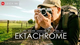 Ektachrome E100  Leica M6  And a New Zealand Landscape [upl. by Amaty]