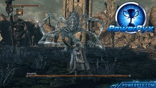 Bloodborne  Great One Amygdala Boss Fight Boss 13 [upl. by Cynthie933]