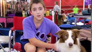 Road to Westminster RTW Agility Dog Junior Handler David Frasca [upl. by Nobe]