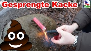 Gesprengte Kacke  Ekelhaftes Silvester Feuerwerk  Knaller Vlog TipTapTube [upl. by Clim849]