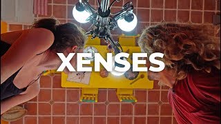 Xenses Park Mexico  Mind Blowing MUST DO Excursion [upl. by Leary]